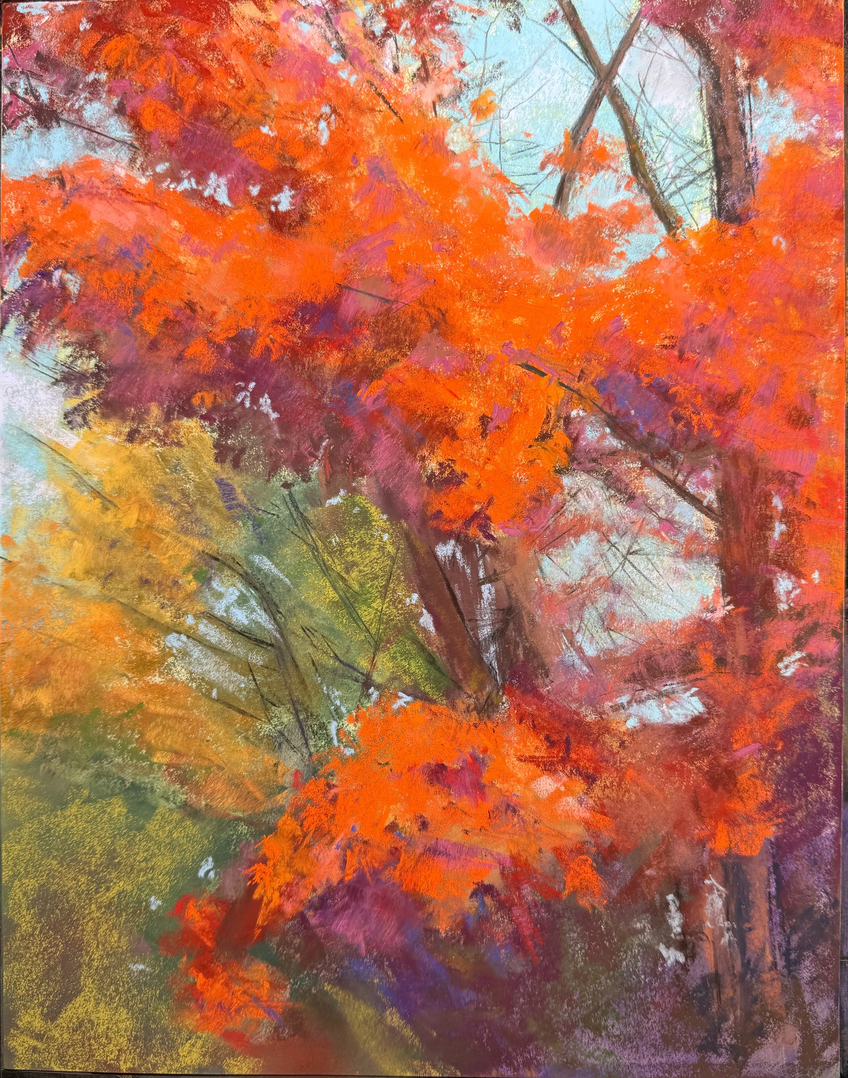 Fall trees in Michigan